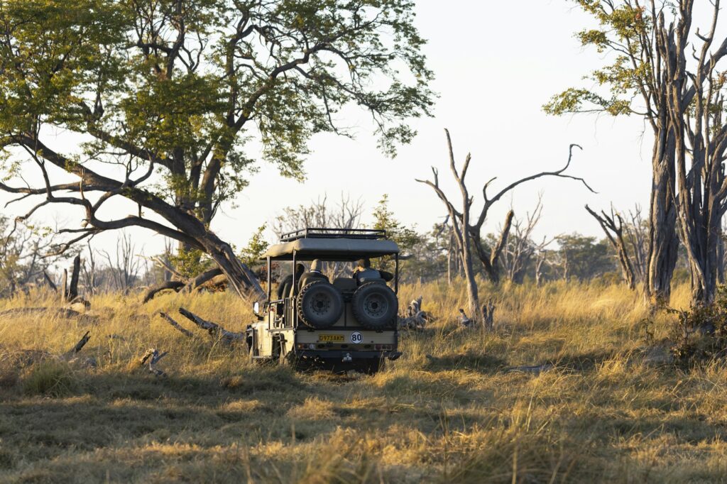 A safari vehicle on a sunrise game drive