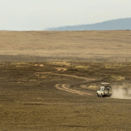 Safari jeeps crossing Serengeti, Tanzania, Africa