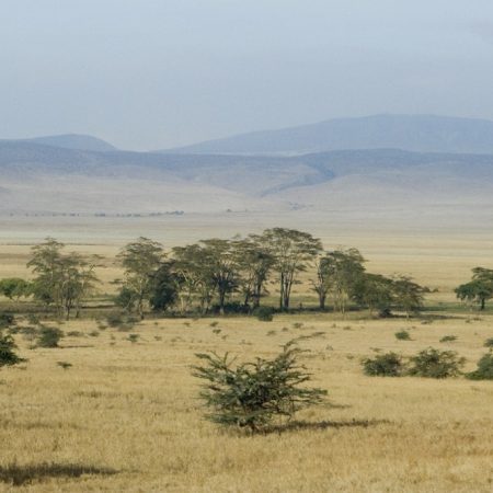 View of the view Ngorongoro Crater, tanzania